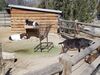 Filename=20190328_039.jpg
Filesize=762KiB
Dimensions=2048x1536
Date added=Jul 21, 2019 20190328_039.jpg