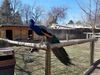 Filename=20190328_043.jpg
Filesize=1051KiB
Dimensions=2048x1536
Date added=Jul 21, 2019 20190328_043.jpg