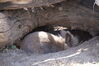 Filename=20190328_047.jpg
Filesize=440KiB
Dimensions=2047x1360
Date added=Jul 21, 2019 20190328_047.jpg