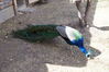 Filename=20190328_049.jpg
Filesize=757KiB
Dimensions=2047x1360
Date added=Jul 21, 2019 20190328_049.jpg