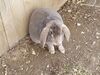 Filename=20190328_050.jpg
Filesize=633KiB
Dimensions=2048x1536
Date added=Jul 21, 2019 20190328_050.jpg