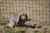 Filename=20190328_052.jpg
Filesize=611KiB
Dimensions=2047x1360
Date added=Jul 21, 2019 20190328_052.jpg