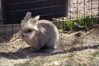 Filename=20190328_059.jpg
Filesize=597KiB
Dimensions=2047x1360
Date added=Jul 21, 2019 20190328_059.jpg