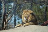 Filename=20190328_064.jpg
Filesize=429KiB
Dimensions=2047x1360
Date added=Jul 21, 2019 20190328_064.jpg