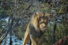 Filename=20190328_065.jpg
Filesize=481KiB
Dimensions=2047x1360
Date added=Jul 21, 2019 20190328_065.jpg