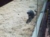 Filename=20190328_068.jpg
Filesize=1021KiB
Dimensions=2048x1536
Date added=Jul 21, 2019 20190328_068.jpg