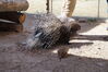 Filename=20190328_069.jpg
Filesize=604KiB
Dimensions=2047x1360
Date added=Jul 21, 2019 20190328_069.jpg