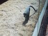 Filename=20190328_070.jpg
Filesize=1078KiB
Dimensions=2048x1536
Date added=Jul 21, 2019 20190328_070.jpg