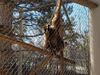 Filename=20190328_076.jpg
Filesize=843KiB
Dimensions=2048x1536
Date added=Jul 21, 2019 20190328_076.jpg