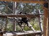 Filename=20190328_078.jpg
Filesize=625KiB
Dimensions=2048x1536
Date added=Jul 21, 2019 20190328_078.jpg