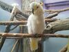 Filename=20190328_084.jpg
Filesize=441KiB
Dimensions=2048x1536
Date added=Jul 21, 2019 20190328_084.jpg