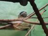 Filename=20190328_089.jpg
Filesize=335KiB
Dimensions=2048x1536
Date added=Jul 21, 2019 20190328_089.jpg