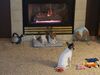Filename=20190331_001.jpg
Filesize=449KiB
Dimensions=2048x1536
Date added=Jul 21, 2019 20190331_001.jpg