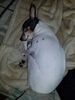 Filename=20190406_002.jpg
Filesize=443KiB
Dimensions=1536x2048
Date added=Jul 21, 2019 20190406_002.jpg