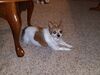 Filename=20190409_001.jpg
Filesize=691KiB
Dimensions=2048x1536
Date added=Jul 21, 2019 20190409_001.jpg