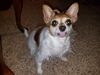 Filename=20190409_002.jpg
Filesize=493KiB
Dimensions=2048x1536
Date added=Jul 21, 2019 20190409_002.jpg