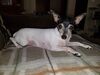 Filename=20190425_001.jpg
Filesize=391KiB
Dimensions=2048x1536
Date added=Jul 21, 2019 20190425_001.jpg