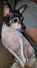 Filename=20190425_002.jpg
Filesize=433KiB
Dimensions=1123x2048
Date added=Jul 21, 2019 20190425_002.jpg