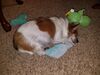 Filename=20190428_001.jpg
Filesize=746KiB
Dimensions=2048x1536
Date added=Jul 21, 2019 20190428_001.jpg