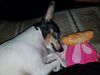 Filename=20190428_002.jpg
Filesize=453KiB
Dimensions=2048x1536
Date added=Jul 21, 2019 20190428_002.jpg