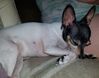 Filename=20190506_002.jpg
Filesize=456KiB
Dimensions=2047x1615
Date added=Jul 25, 2019 20190506_002.jpg
