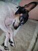 Filename=20190506_003.jpg
Filesize=624KiB
Dimensions=1536x2048
Date added=Jul 25, 2019 20190506_003.jpg