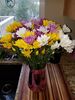 Filename=20190510_001.jpg
Filesize=430KiB
Dimensions=1536x2048
Date added=Jul 25, 2019 20190510_001.jpg