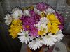 Filename=20190513_001.jpg
Filesize=535KiB
Dimensions=2048x1536
Date added=Jul 25, 2019 20190513_001.jpg