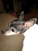 Filename=20190525_000.jpg
Filesize=335KiB
Dimensions=1536x2048
Date added=Jul 26, 2021 20190525_000.jpg