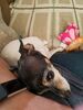 Filename=20190530_002.jpg
Filesize=345KiB
Dimensions=1536x2048
Date added=Jul 25, 2019 20190530_002.jpg