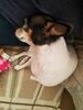 Filename=20190530_003.jpg
Filesize=385KiB
Dimensions=1536x2048
Date added=Jul 25, 2019 20190530_003.jpg