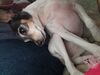 Filename=20190530_004.jpg
Filesize=225KiB
Dimensions=2048x1536
Date added=Jul 25, 2019 20190530_004.jpg