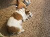 Filename=20190602_001.jpg
Filesize=724KiB
Dimensions=2048x1536
Date added=Jul 25, 2019 20190602_001.jpg