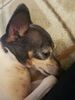Filename=20190602_002.jpg
Filesize=381KiB
Dimensions=1536x2048
Date added=Jul 25, 2019 20190602_002.jpg