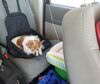 Filename=20190612_001.jpg
Filesize=386KiB
Dimensions=2048x1723
Date added=Jul 25, 2019 20190612_001.jpg