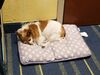 Filename=20190612_003.jpg
Filesize=535KiB
Dimensions=2048x1536
Date added=Jul 25, 2019 20190612_003.jpg
