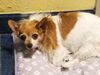 Filename=20190612_005.jpg
Filesize=282KiB
Dimensions=2048x1536
Date added=Jul 25, 2019 20190612_005.jpg