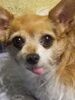 Filename=20190612_006.jpg
Filesize=256KiB
Dimensions=1536x2048
Date added=Jul 25, 2019 20190612_006.jpg