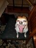 Filename=20190615_009.jpg
Filesize=302KiB
Dimensions=1536x2048
Date added=Jul 25, 2019 20190615_009.jpg