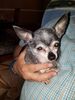 Filename=20190615_011.jpg
Filesize=570KiB
Dimensions=1536x2048
Date added=Jul 25, 2019 20190615_011.jpg