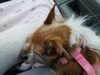 Filename=20190616_001.jpg
Filesize=512KiB
Dimensions=2048x1536
Date added=Jul 25, 2019 20190616_001.jpg