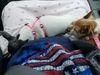 Filename=20190616_002.jpg
Filesize=451KiB
Dimensions=2048x1536
Date added=Jul 25, 2019 20190616_002.jpg