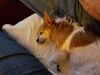Filename=20190616_003.jpg
Filesize=456KiB
Dimensions=2048x1536
Date added=Jul 25, 2019 20190616_003.jpg