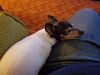 Filename=20190616_004.jpg
Filesize=522KiB
Dimensions=2048x1536
Date added=Jul 25, 2019 20190616_004.jpg