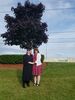 Filename=20190617_044.jpg
Filesize=695KiB
Dimensions=1536x2048
Date added=Jul 25, 2019 20190617_044.jpg