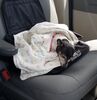 Filename=20190618_002.jpg
Filesize=2071KiB
Dimensions=1945x1996
Date added=Jul 25, 2019 20190618_002.jpg