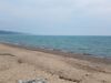 Filename=20190619_011.jpg
Filesize=522KiB
Dimensions=2048x1536
Date added=Jul 25, 2019 20190619_011.jpg