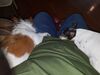 Filename=20190620_004.jpg
Filesize=463KiB
Dimensions=2048x1536
Date added=Jul 25, 2019 20190620_004.jpg