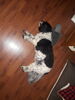 Filename=20190625_004.jpg
Filesize=369KiB
Dimensions=1536x2048
Date added=Jul 25, 2019 20190625_004.jpg