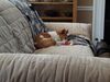 Filename=20190626_005.jpg
Filesize=323KiB
Dimensions=2048x1536
Date added=Jul 25, 2019 20190626_005.jpg